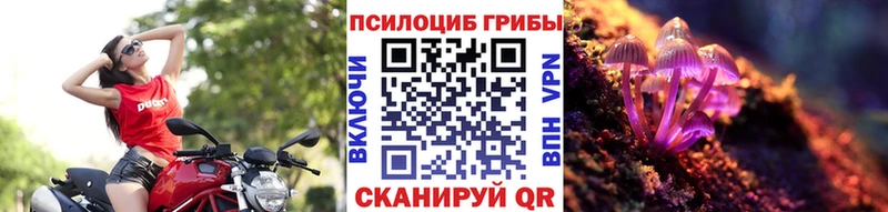 Псилоцибиновые грибы ЛСД  Купить где  Прохладный 